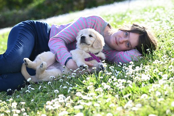 Hoe onderhoud je de vacht van een langharige hond?